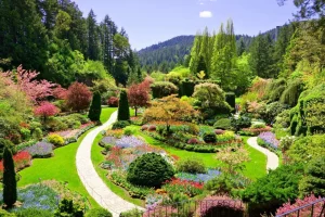 Discount De Butchart tuinen in Canada fotobehang Bloemen
