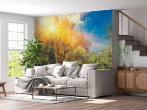 New De Gethsemane olijven boomgaard bij zonsopkomst fotobehang Bloemen