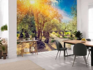 New De Gethsemane olijven boomgaard bij zonsopkomst fotobehang Bloemen