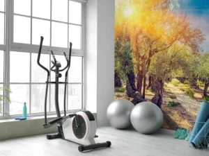 New De Gethsemane olijven boomgaard bij zonsopkomst fotobehang Bloemen