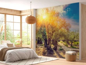New De Gethsemane olijven boomgaard bij zonsopkomst fotobehang Bloemen