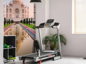 Outlet De Taj Mahal vanuit de tuin fotobehang Architectuur