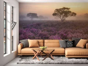 Clearance De Veluwe in de vroege ochtend fotobehang Bloemen