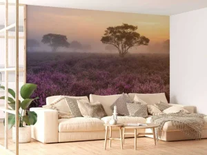 Clearance De Veluwe in de vroege ochtend fotobehang Bloemen