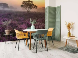 Clearance De Veluwe in de vroege ochtend fotobehang Bloemen