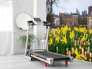 Clearance Den Haag met bloemen op de voorgrond fotobehang Steden | Architectuur