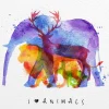 Clearance Dieren aquarel fotobehang Kinderkamer | Dieren