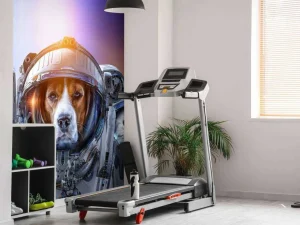 Online Dierlijke astronauten fotobehang Tienerkamer | Dieren