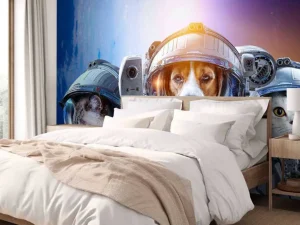 Online Dierlijke astronauten fotobehang Tienerkamer | Dieren