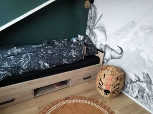 Outlet Dino's in zwart-wit Kinderkamer