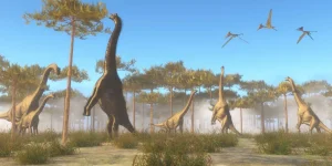 Outlet Dinosaurussen in de mist fotobehang Kinderkamer | Dieren