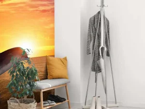 Online Dolfijnen bij zonsondergang fotobehang Tienerkamer