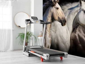 Best Drie paarden met een zwarte achtergrond fotobehang Tienerkamer | Kinderkamer