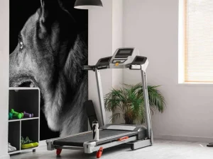 Outlet Duitse herdershond met een zwarte achtergrond fotobehang Tienerkamer | Dieren