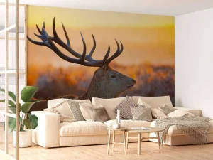Best Edelhert met zichtbaar Gewei fotobehang Dieren