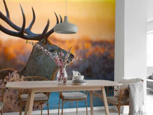 Best Edelhert met zichtbaar Gewei fotobehang Dieren