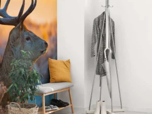 Best Edelhert met zichtbaar Gewei fotobehang Dieren