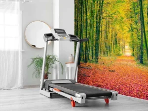 Sale Een bosweg in de herfst fotobehang Bloemen