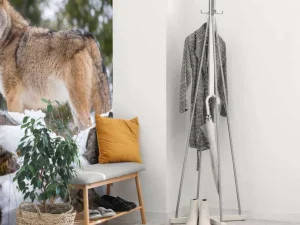 Outlet Een coyote in de winter fotobehang Dieren