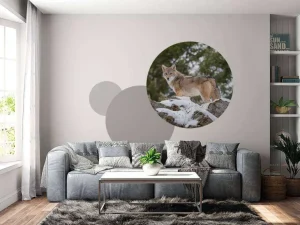 Outlet Een coyote in de winter fotobehang Dieren