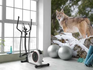 Outlet Een coyote in de winter fotobehang Dieren