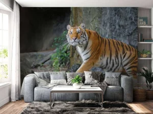 Hot Een grote Sumatraanse tijger fotobehang Kinderkamer
