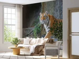 Hot Een grote Sumatraanse tijger fotobehang Kinderkamer