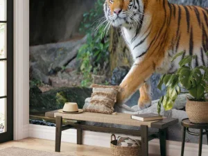 Hot Een grote Sumatraanse tijger fotobehang Kinderkamer