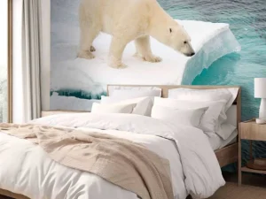 New Een ijsbeer observeert de zee fotobehang Dieren