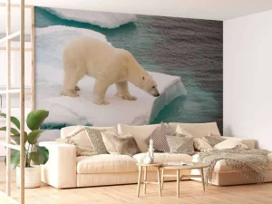 New Een ijsbeer observeert de zee fotobehang Dieren