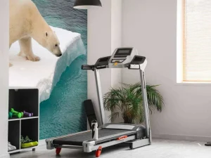 New Een ijsbeer observeert de zee fotobehang Dieren