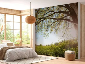 Hot Eik in Gras met Zonnige Achtergrond fotobehang Bloemen