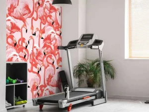 Fashion Exotische flamingo's Dieren