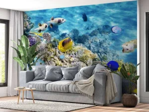 Sale Exotische vissen en koralen fotobehang Dieren