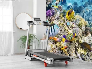 Sale Exotische vissen en koralen fotobehang Dieren