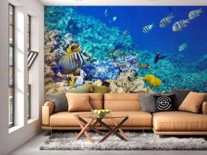 Sale Exotische vissen in de oceaan fotobehang Dieren