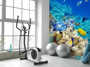 Sale Exotische vissen in de oceaan fotobehang Dieren