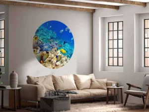 Sale Exotische vissen in de oceaan fotobehang Dieren