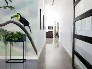 Best Exotische vogel op een tak fotobehang Tienerkamer | Bloemen