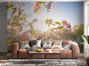 Hot Felle Zon achter Bloesem takjes fotobehang Bloemen