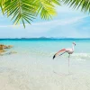New Flamingo op Tropisch Strand fotobehang Dieren