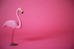 Outlet Flamingo van kunstof met een roze achtergrond fotobehang Tienerkamer | Dieren
