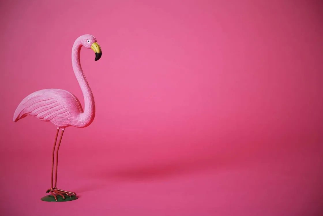 flamingo_van_kunstof_met__0.webp Outlet Flamingo van kunstof met een roze achtergrond fotobehang Tienerkamer | Dieren