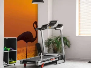 Clearance Flamingo's bij zonsondergang fotobehang Dieren