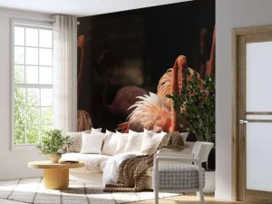 Fashion Flamingo's met een donkere achtergrond fotobehang Tienerkamer | Dieren