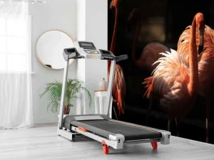 Fashion Flamingo's met een donkere achtergrond fotobehang Tienerkamer | Dieren