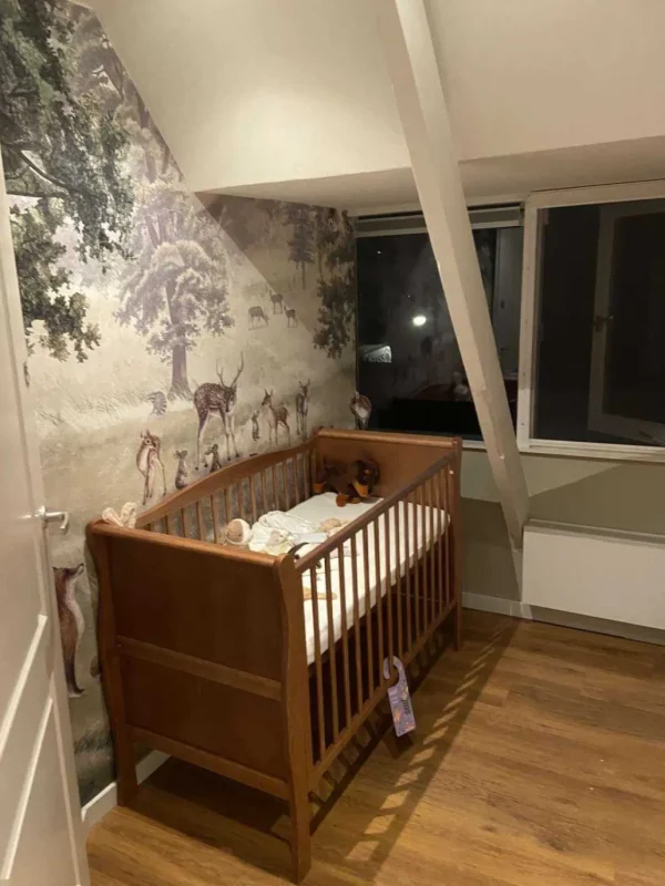 Clearance Forest Fun Kinderkamer
