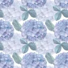 Discount Fotobehang - Dauwdruppel Hortensia's Bloemen