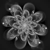Sale Fractal bloem in zwart-wit fotobehang Bloemen
