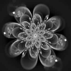Sale Fractal bloem in zwart-wit fotobehang Bloemen